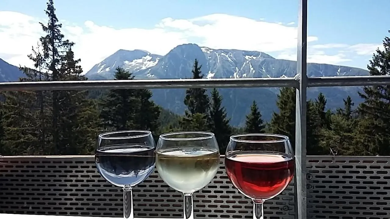 Chamrousse 1700 - Appartement classé 3 étoiles, avec vue sur les montagnes - Silènes C32 France