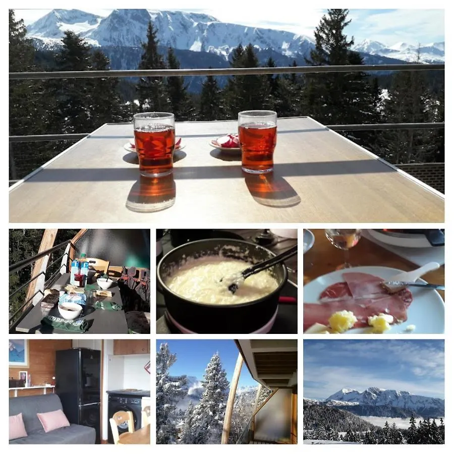 Chamrousse 1700 - Appartement classé 3 étoiles, avec vue sur les montagnes - Silènes C32
