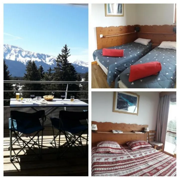 Chamrousse 1700 - Appartement classé 3 étoiles, avec vue sur les montagnes - Silènes C32 France